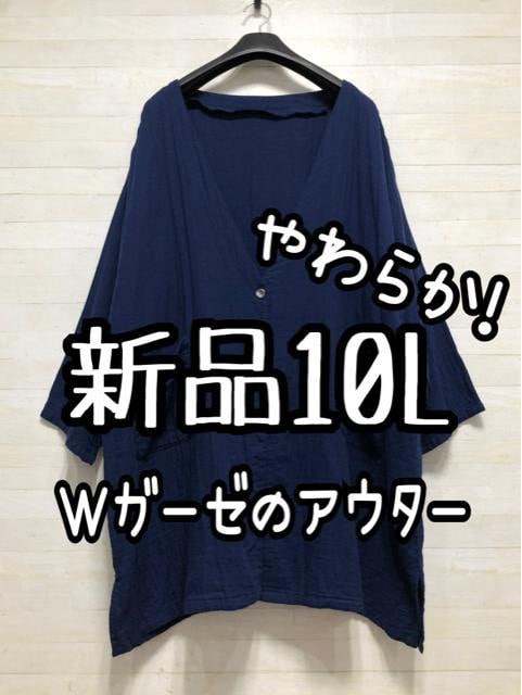 Vi10LlCr[n_炩!_uK[[̃J[fBKQ240   t@bV 