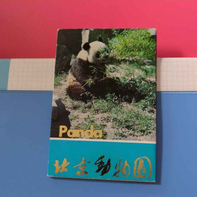 |XgJ[hPO   zr[ 