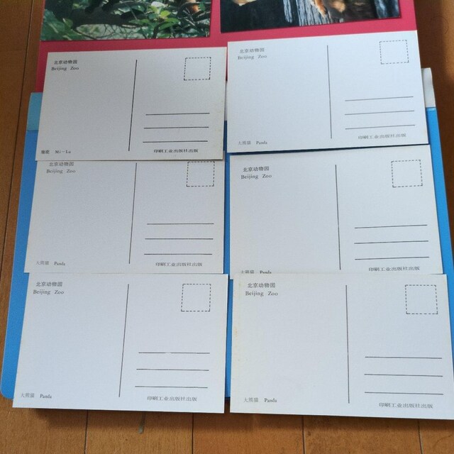 |XgJ[hPO  zr[ 