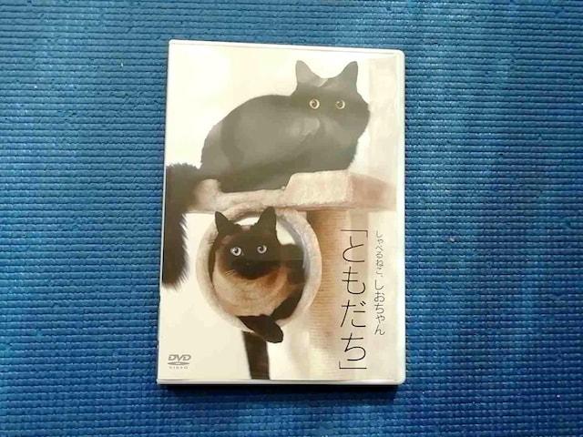 DVD ׂ˂  uƂv   CD/DVD/rfI 