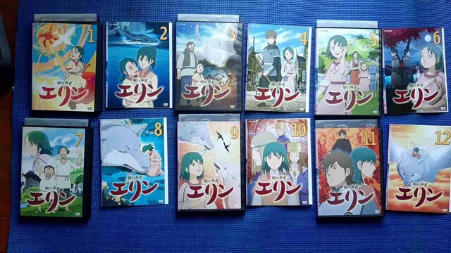 DVD b̑t G S12 SZbg 䎵   CD/DVD/rfI 
