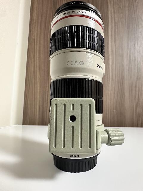 Canon EF 70-200mm F4 L USM Y[Y   Ɠd/AV 