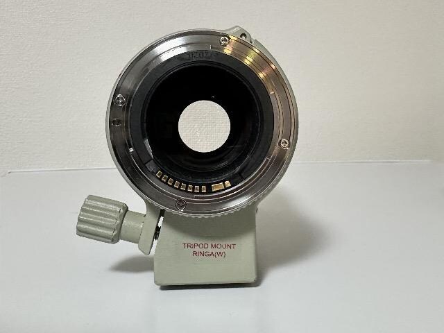 Canon EF 70-200mm F4 L USM Y[Y  Ɠd/AV 