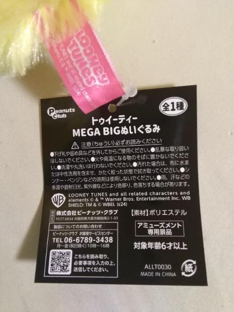 gDC[eBMEGABIGʂ