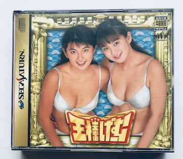 l[ SS ZKT^[ c gc[ O} ޗǍ ѓ݂䂫 cޕ 瓌䝗R Sega Saturn