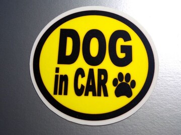DOG in CARCG[XebJ[Ă܂V[