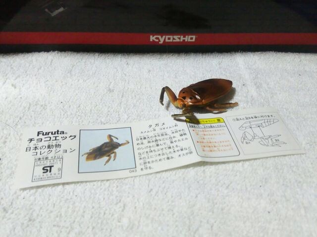 t^ {̓2 ̃MO ^K   zr[ 