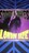 Spiders&Snakes/London daze