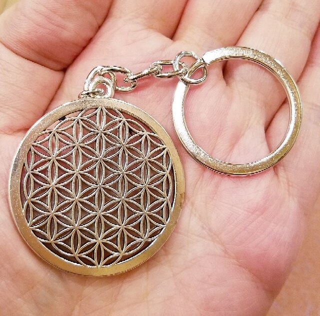 _􉽊w͗lt[IuCtL[z_[   t@bV 