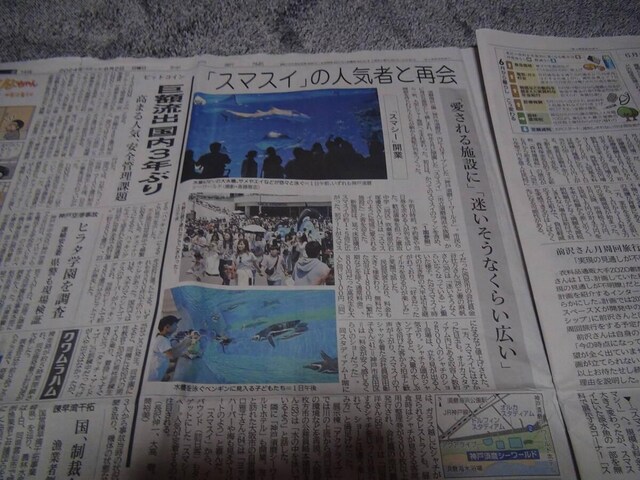 _ː{V[[h 2024N61(y)OhI[vVL !B  zr[ 