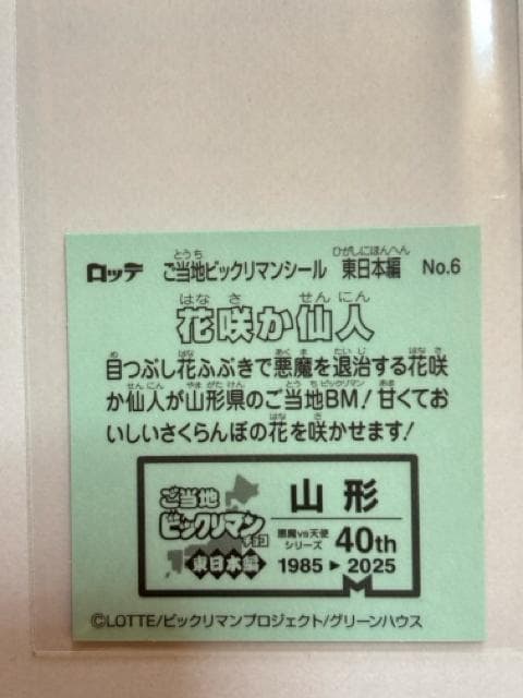 nrbN}{ҁNo.6 ԍ炩lR`  zr[ 