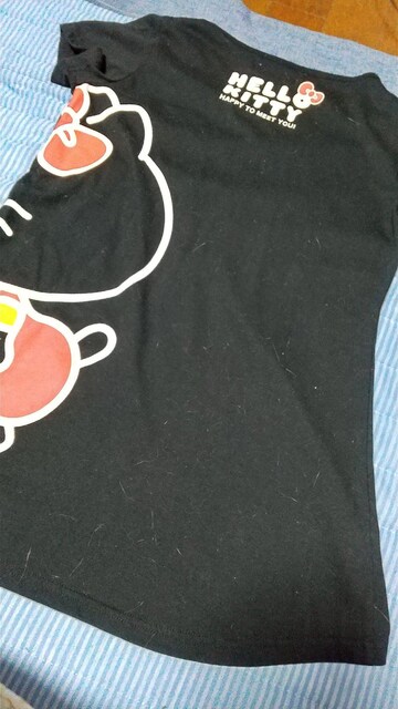 KITTYTVc  t@bV 