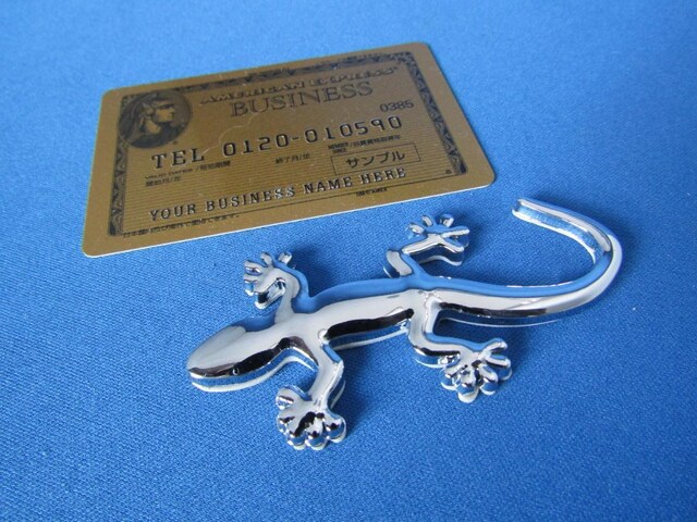Gecko QbR[/{/IN[bLdl ABS yʃ^Cv GuVi  /oCN