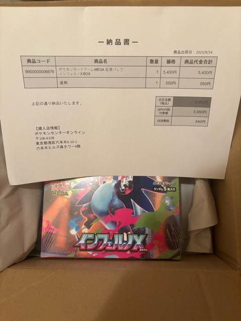 |PJ[hQ[@CtFmX 1BOX VNt   g[fBOJ[h 