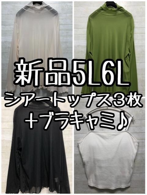Vi5L6LVA[Jbg\[3{uL~܂Ƃ߂āD738   t@bV 