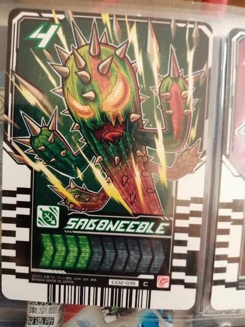 ʃC_[ChP~[gJ5   g[fBOJ[h 
