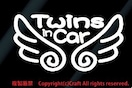 Twins in CarVg̉H/XebJ[oq(et)xr[CJ[Baby in Car