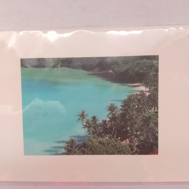|XgJ[h@postcard@Gt@G͂@PO@COʐ^  zr[ 