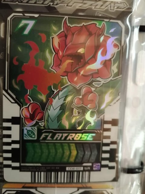 ʃC_[ChP~[gJ7   g[fBOJ[h 