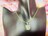 a138 `NXg[`[J[@jp