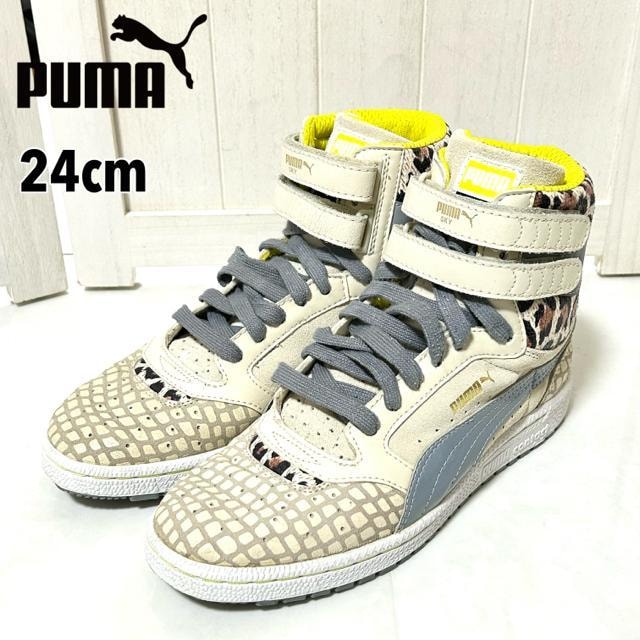 i PUMA v[} XJC nCJbg Aj} Xj[J[ 24cm   uh 