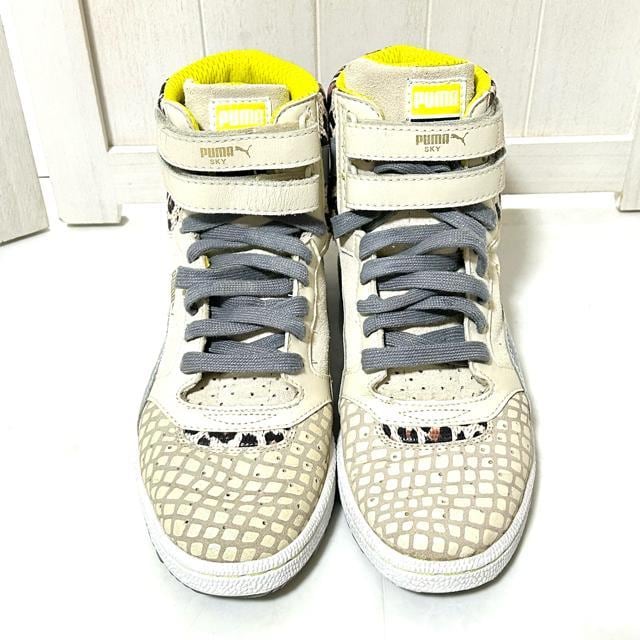 i PUMA v[} XJC nCJbg Aj} Xj[J[ 24cm  uh 