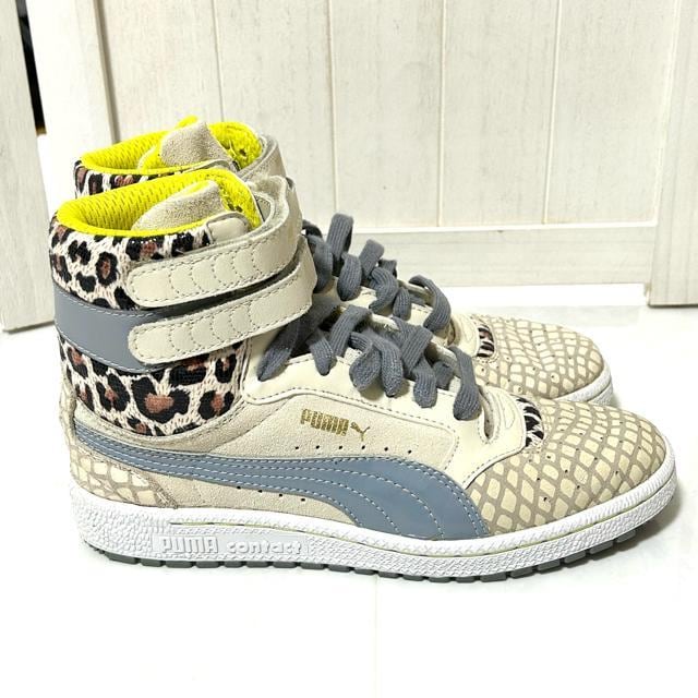 i PUMA v[} XJC nCJbg Aj} Xj[J[ 24cm  uh 