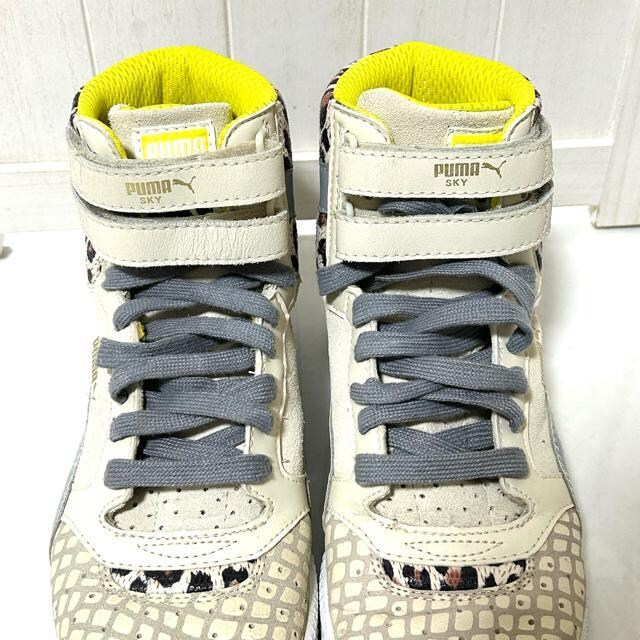 i PUMA v[} XJC nCJbg Aj} Xj[J[ 24cm  uh 