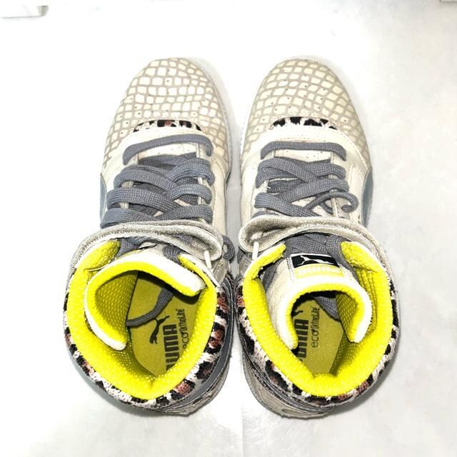 i PUMA v[} XJC nCJbg Aj} Xj[J[ 24cm  uh 