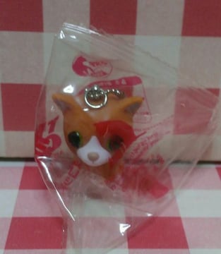 THE CAT@\tr}XRbg