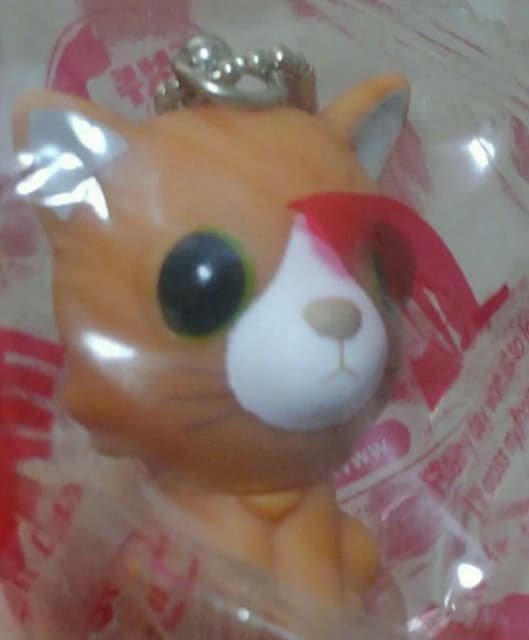 THE CAT@\tr}XRbg   