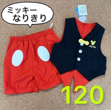 Vi^Ot120TCY@fBYj[~bL[Ȃ肫^LV[h@RX`[