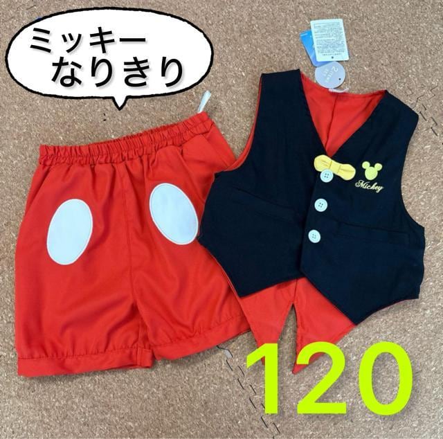 Vi^Ot120TCY@fBYj[~bL[Ȃ肫^LV[h@RX`[   LbY/xr[ 