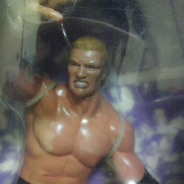WWF (WWE) TCREVbh+WEA_[eBJ[ tBMA J  zr[ 