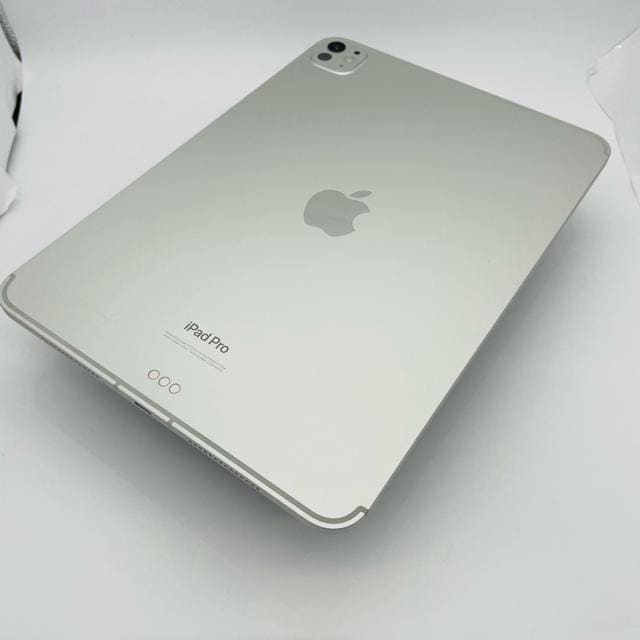 S iPad Pro 5 11C`  M4 256 GB SIMt[  PC{/Ӌ@ 