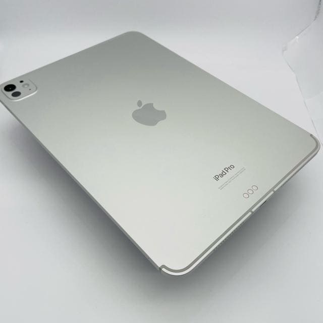 S iPad Pro 5 11C`  M4 256 GB SIMt[  PC{/Ӌ@ 