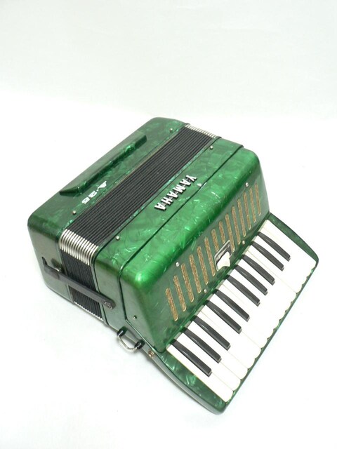 YAMAHA A-25E25@AR[fBIEgO[   zr[ 