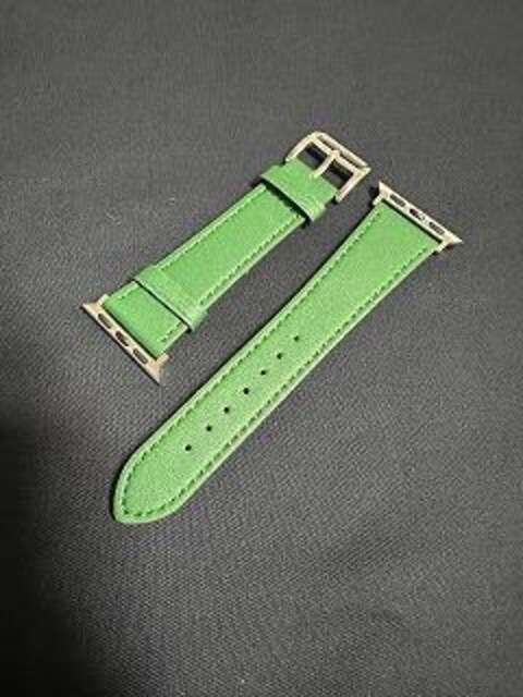 yViElCzyzApple Watch oh  42/44/45mm@O[  Ɠd/AV 