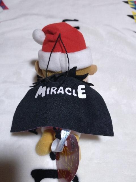 tI 剉fuMIRACLEv frNʂ݁@B  ^gObY 