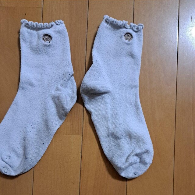 C20cm`24cm 
