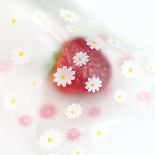 OPP܂T@84  CeA/Ct 