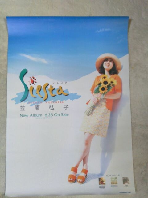 CD }Oq VGX^ S10 '97/6 сA\T|X^[  B2TCYt  CD/DVD/rfI 