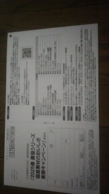 u2025t_V[YYfނ̂Ly[vnKLB531L  `Pbg/ 
