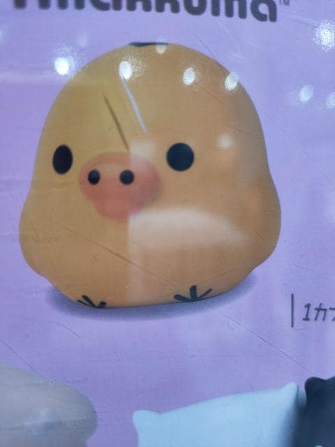 K`K`/LCCg    