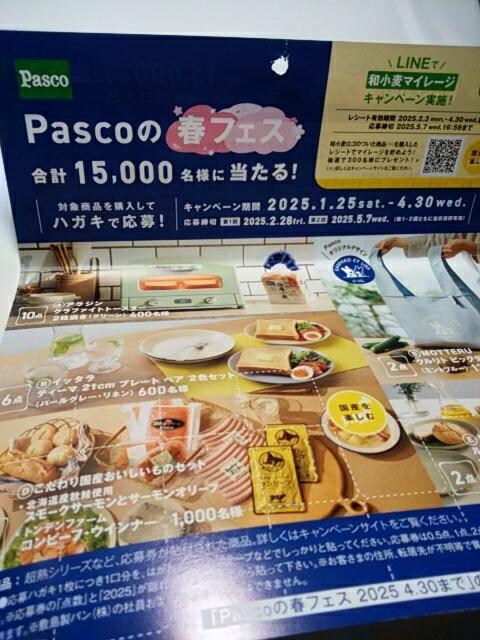 PascȍttFXv[g nKL1&}[N10_ pXR