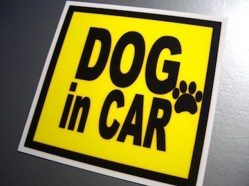 DOG in CARCG[XebJ[ Ă܂ybg