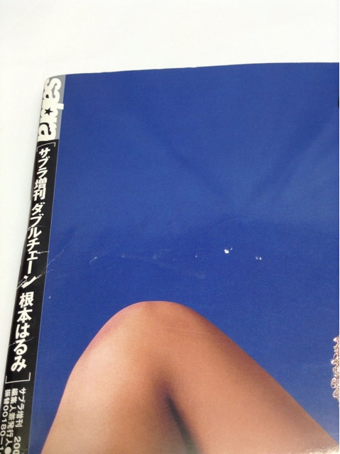 送料無料 サブラ増刊 ダブルチェーン 根本はるみ 中古即決:根本