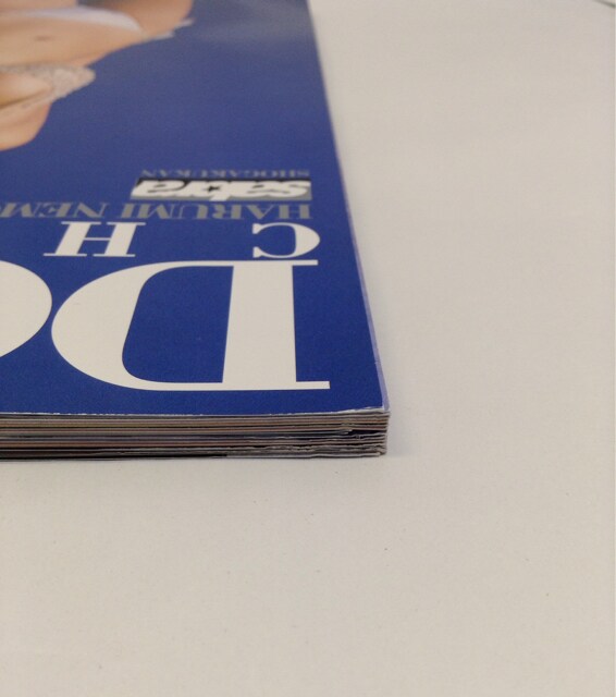 送料無料 サブラ増刊 ダブルチェーン 根本はるみ 中古即決:根本