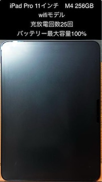 iPad pro 11C` M4 ŐVf