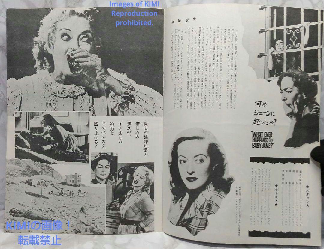 レア 映画パンフ 何がジェーンに起こったか？ What Ever H 1962年 レア 映画パンフ 何がジェーンに起こったか？ What Ever H 1962